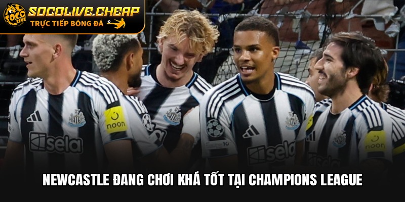 Newcastle đang chơi khá tốt tại Champions League