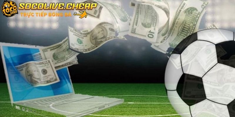 Trong tương lai trực tiếp socolive sẽ phát triển hơn nữa